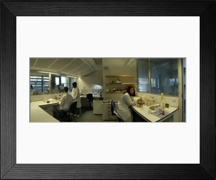 Framed Print : Laboratory in the Darwin Centre