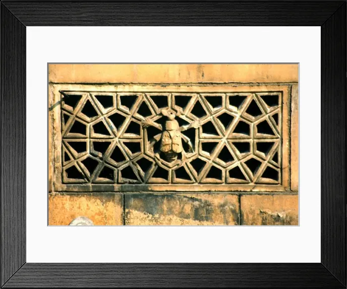 Framed Print : Detail of terracotta moulding of a beetle in the Waterhouse Framed Print : Detail of terracotta moulding of a beetle in the Waterhouse