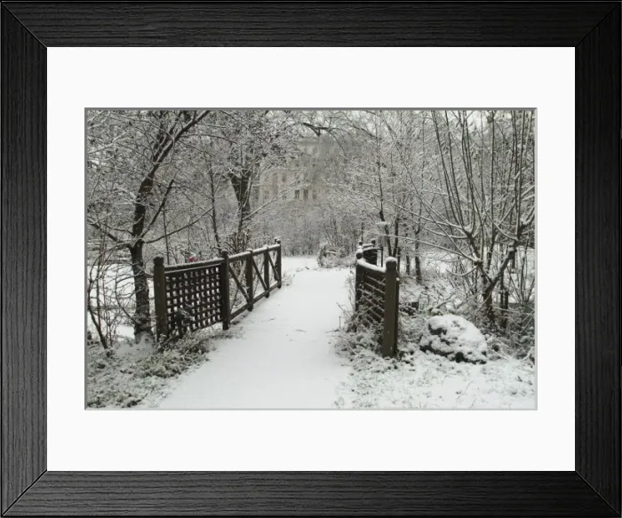 Framed Print : The Wildlife Garden Framed Print : The Wildlife Garden