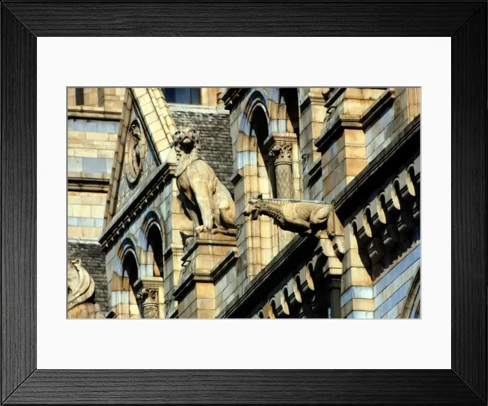 Framed Print : Detail view of the exterior of the Waterhouse Building Framed Print : Detail view of the exterior of the Waterhouse Building
