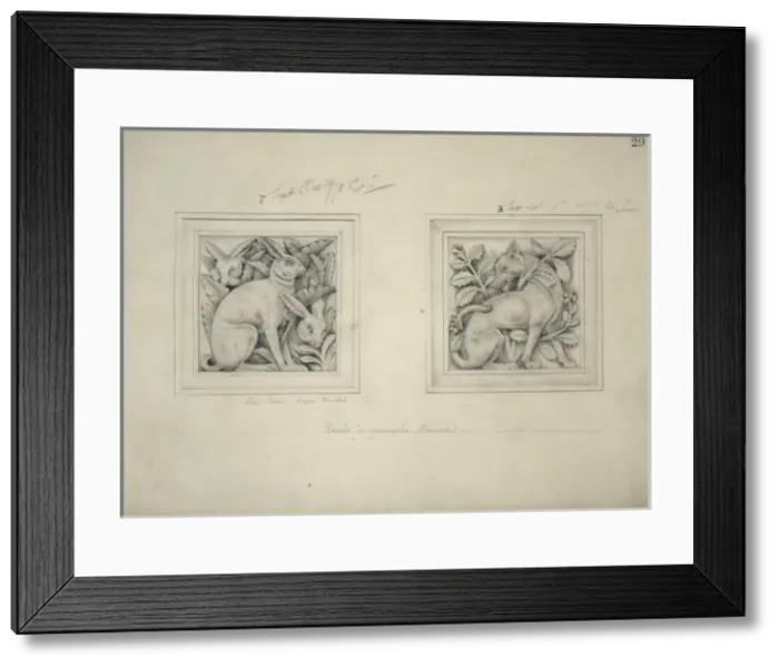 Framed Print : Lepus timideus, hare design Framed Print : Lepus timideus, hare design