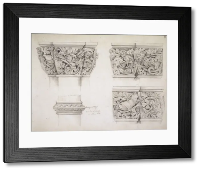 Framed Print : Mammals, birds & leaves Framed Print : Mammals, birds & leaves