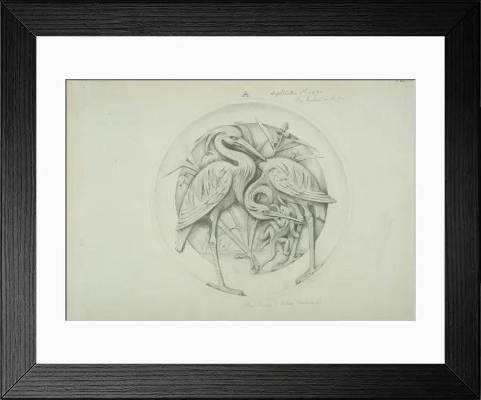 Framed Print : Mazama canepestris guaszuti Framed Print : Mazama canepestris guaszuti
