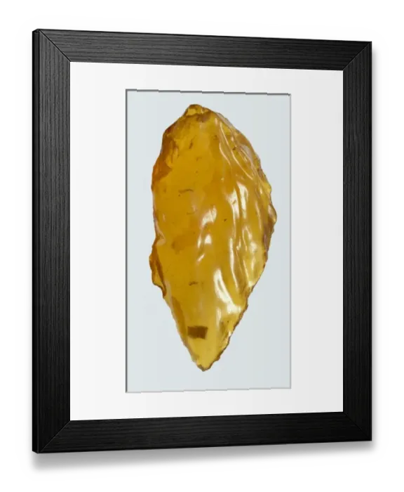 Framed Print : Copal Framed Print : Copal
