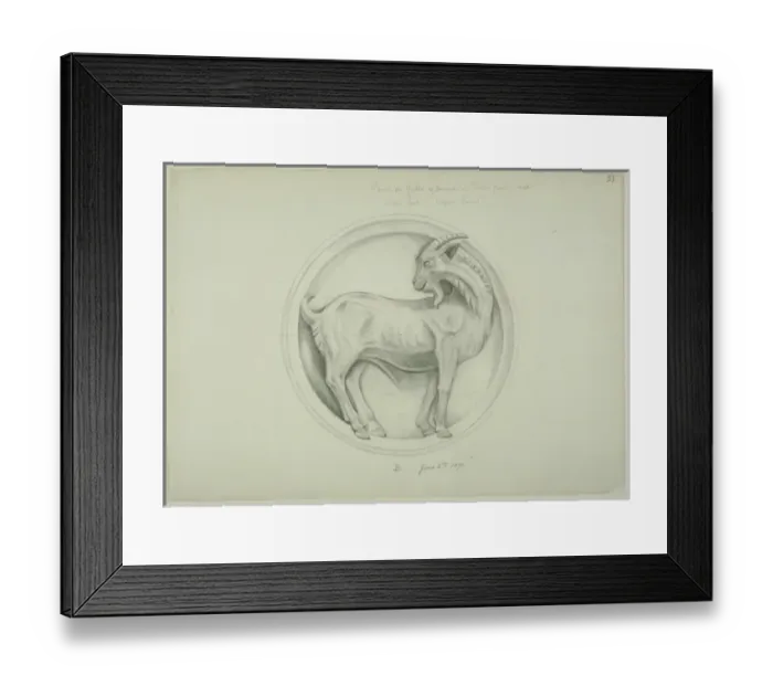 Framed Print : Goat design Framed Print : Goat design