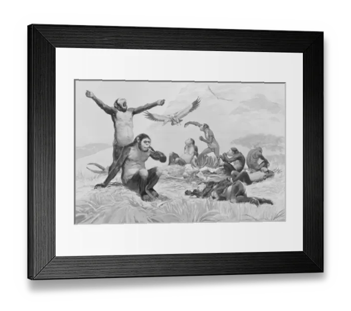 Framed Print : Homo habilis in action Framed Print : Homo habilis in action