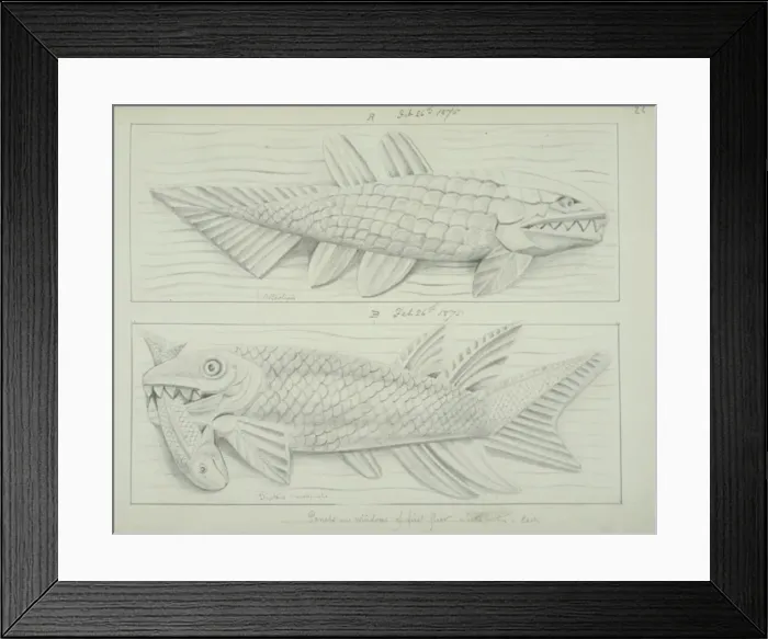 Framed Print : Fish design Framed Print : Fish design