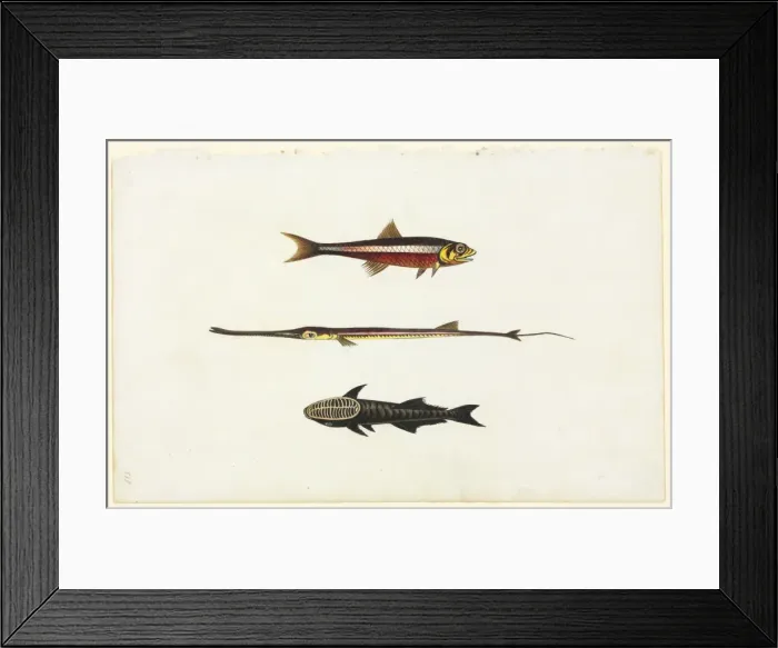 Framed Print : Watercolour 58 from the Watling Collection Framed Print : Watercolour 58 from the Watling Collection