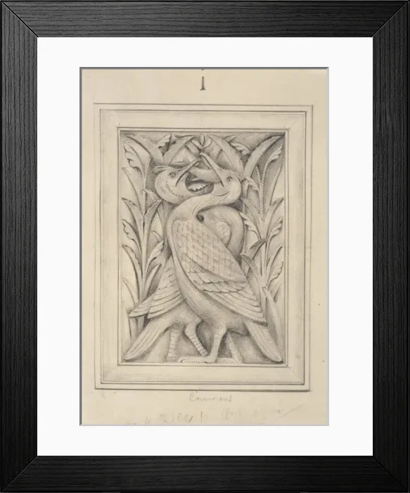 Framed Print : Vulpes vulgaris, fox and cormorant designs Framed Print : Vulpes vulgaris, fox and cormorant designs
