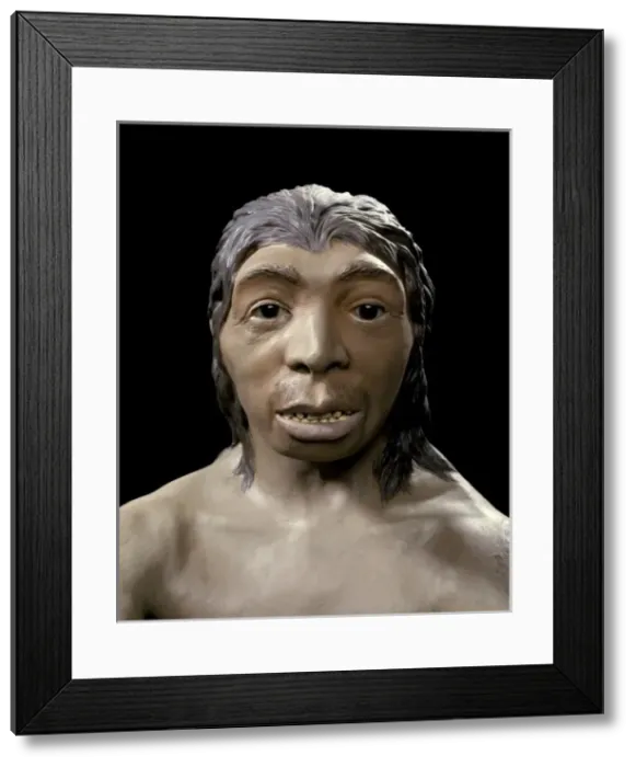 Framed Print : Homo neanderthalensis, Neanderthal Woman (Tabun C1) Framed Print : Homo neanderthalensis, Neanderthal Woman (Tabun C1)