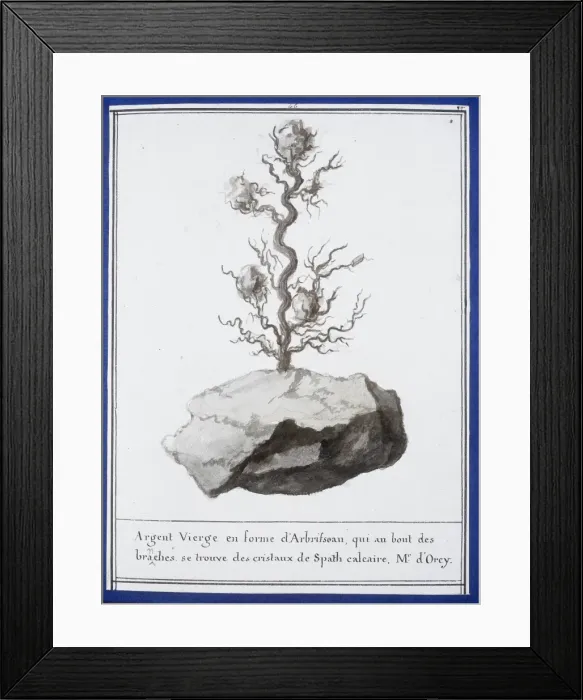 Framed Print : Plate 44 from Mineralogie Framed Print : Plate 44 from Mineralogie