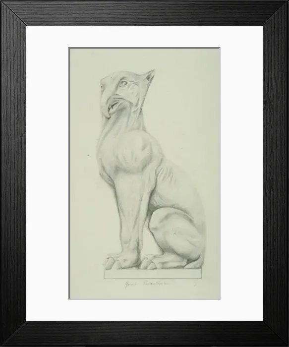 Framed Print : Great paleotherium Framed Print : Great paleotherium