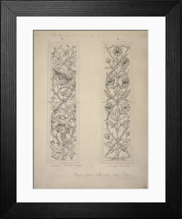 Framed Print : Bird, leaves and chameleon design Framed Print : Bird, leaves and chameleon design
