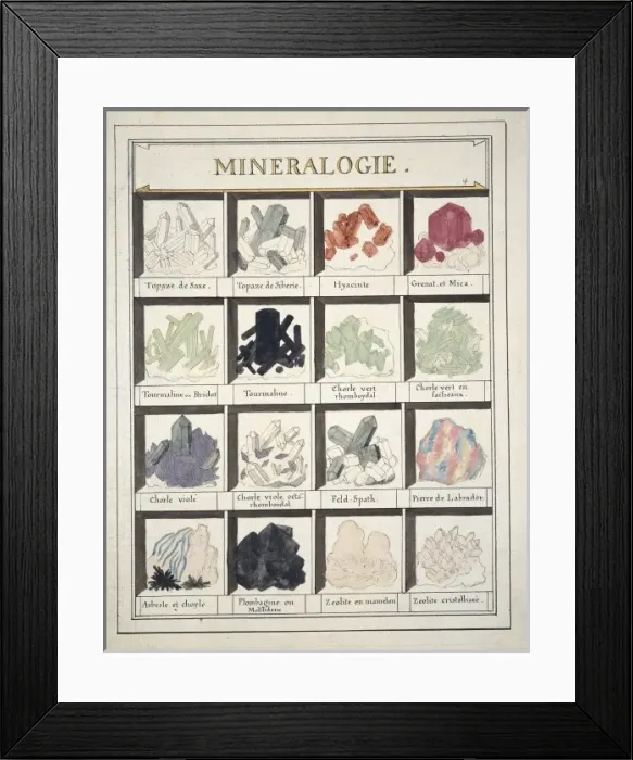 Framed Print : Plate 4a from Histoire naturelle? (1789) Framed Print : Plate 4a from Histoire naturelle? (1789)
