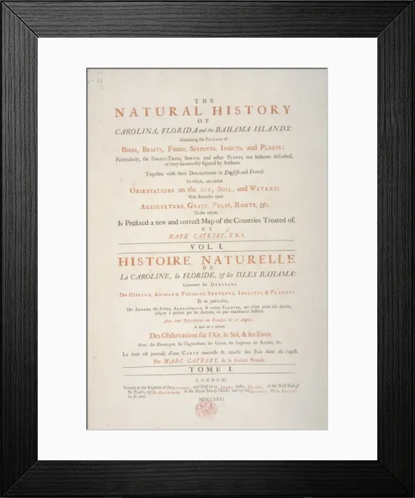 Framed Print : Mark Catesbys Natural History... Title Page Framed Print : Mark Catesbys Natural History... Title Page
