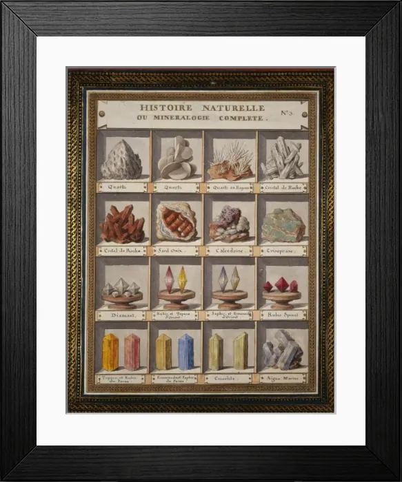 Framed Print : Plate 3 from Histoire naturelle? (1789) Framed Print : Plate 3 from Histoire naturelle? (1789)