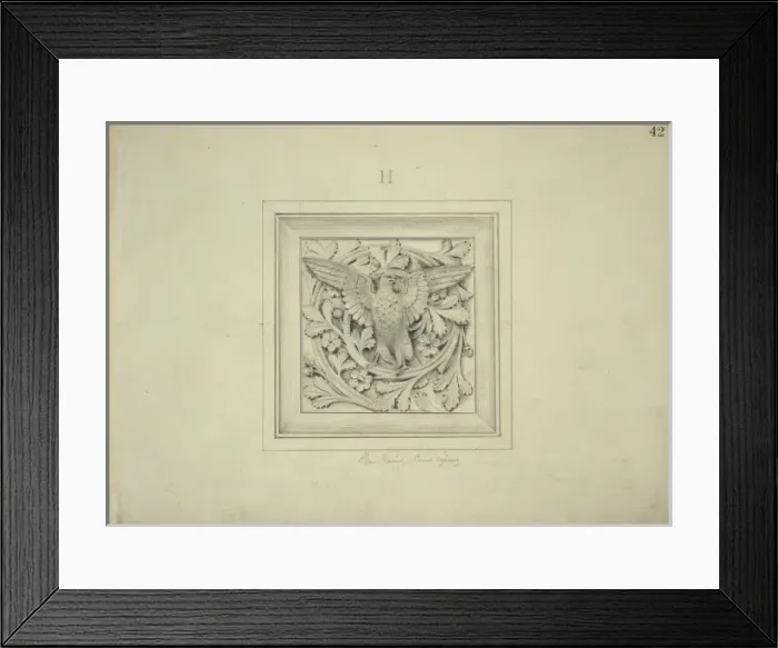 Framed Print : Hen harrier design Framed Print : Hen harrier design