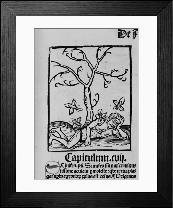 Framed Print : Man tormented by insects Framed Print : Man tormented by insects
