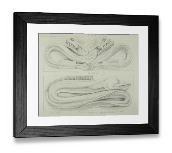 Framed Print : Fish and eel design