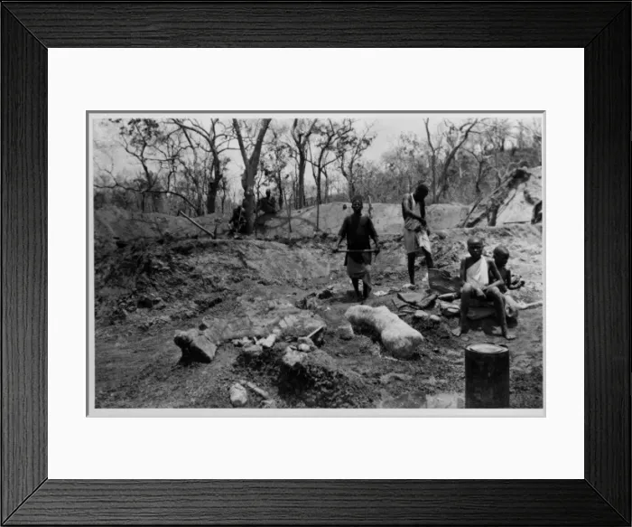 Framed Print : Searching for dinosaur fossils, Tendaguru, 1924 Framed Print : Searching for dinosaur fossils, Tendaguru, 1924