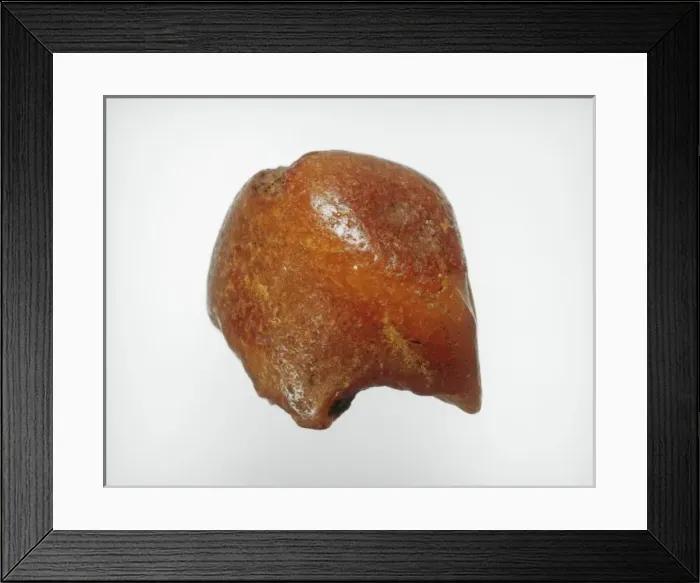 Framed Print : Amber artifact from Stone Age England Framed Print : Amber artifact from Stone Age England