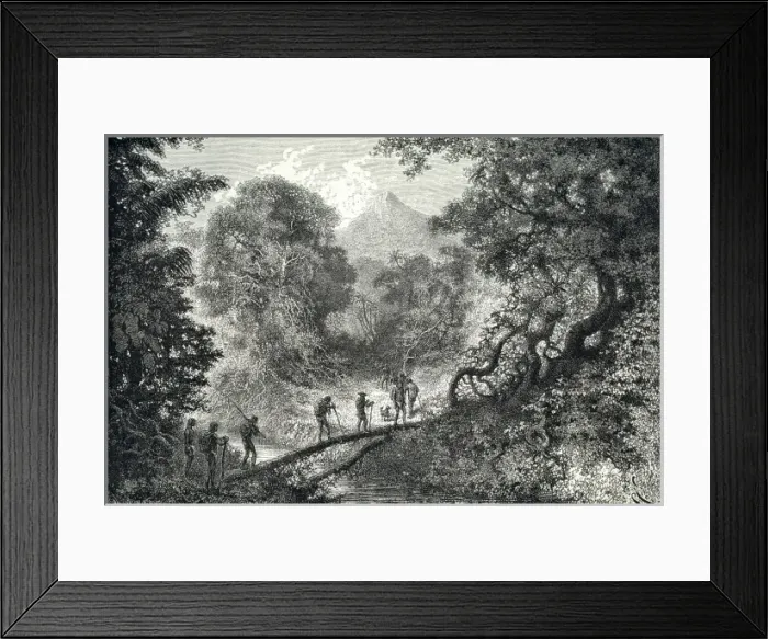 Framed Print : Passage sur des Troncs d Arbres Framed Print : Passage sur des Troncs d Arbres