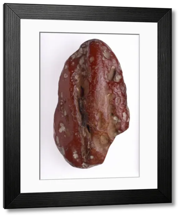 Framed Print : Baltic amber Framed Print : Baltic amber