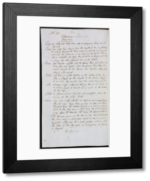 Framed Print : Collinsonia canadensis, horse weed Framed Print : Collinsonia canadensis, horse weed