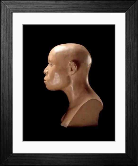 Framed Print : Piltdown Man (Model based on Piltdown 1 & 2) Framed Print : Piltdown Man (Model based on Piltdown 1 & 2)