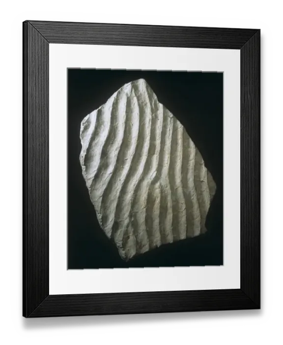 Framed Print : Ripple-marked sandstone Framed Print : Ripple-marked sandstone