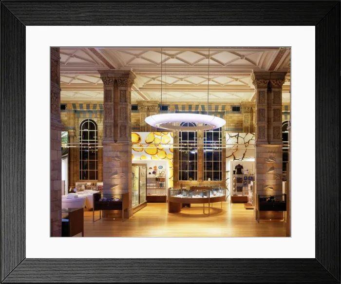 Framed Print : The Natural History Museum Shop Framed Print : The Natural History Museum Shop
