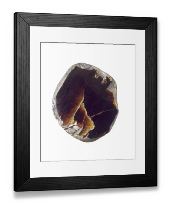 Framed Print : Borneo amber Framed Print : Borneo amber
