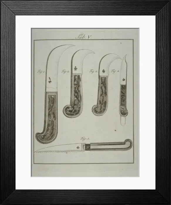 Framed Print : Pruning tools: pruning knives (a, b, c) trimming knife (d), pr Framed Print : Pruning tools: pruning knives (a, b, c) trimming knife (d), pr
