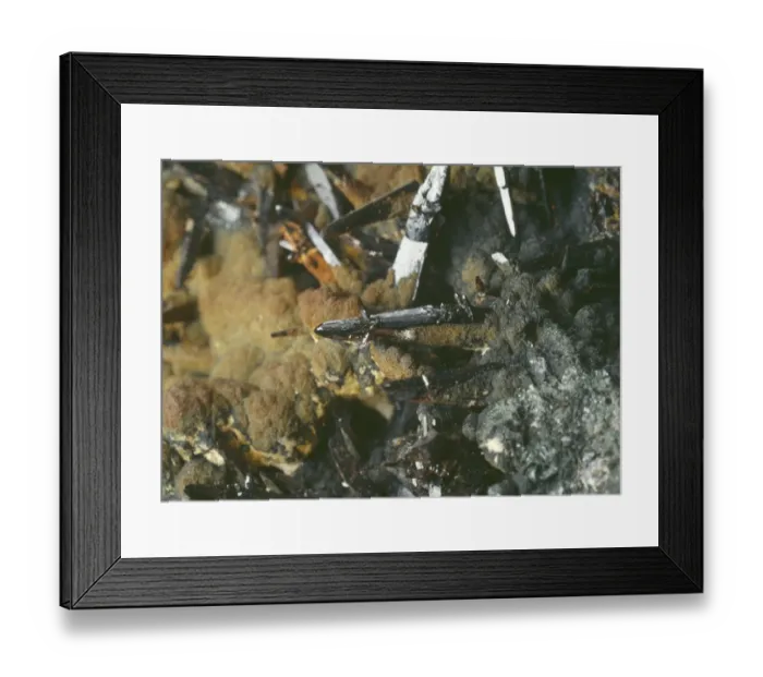 Framed Print : Cassiterite, sparable tin Framed Print : Cassiterite, sparable tin