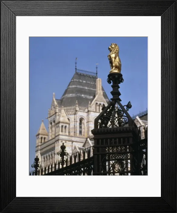 Framed Print : The Natural History Museum, London Framed Print : The Natural History Museum, London