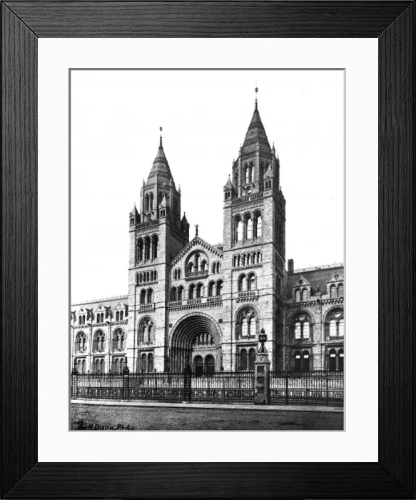 Framed Print : The Natural History Museum, 1881 Framed Print : The Natural History Museum, 1881