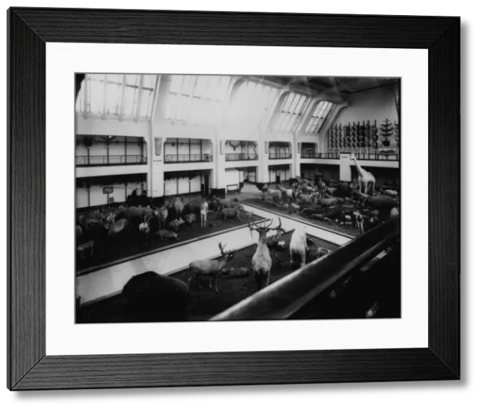 Framed Print : Whale Hall, 1932 Framed Print : Whale Hall, 1932
