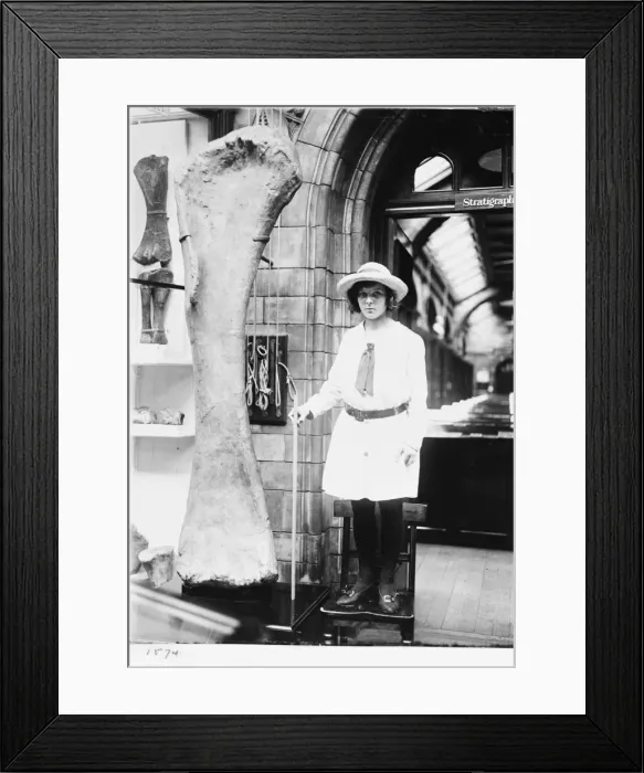Framed Print : Girl with dinosaur bone, 1920s Framed Print : Girl with dinosaur bone, 1920s