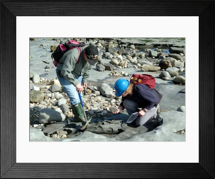 Framed Print : Lyme Regis Framed Print : Lyme Regis