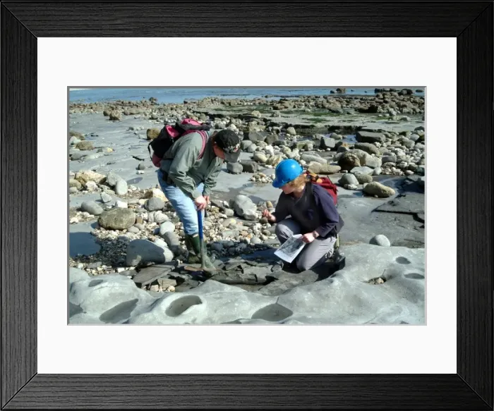 Framed Print : Lyme Regis Framed Print : Lyme Regis