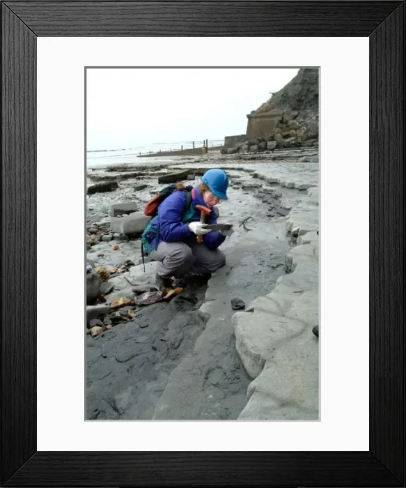 Framed Print : Lyme Regis Framed Print : Lyme Regis