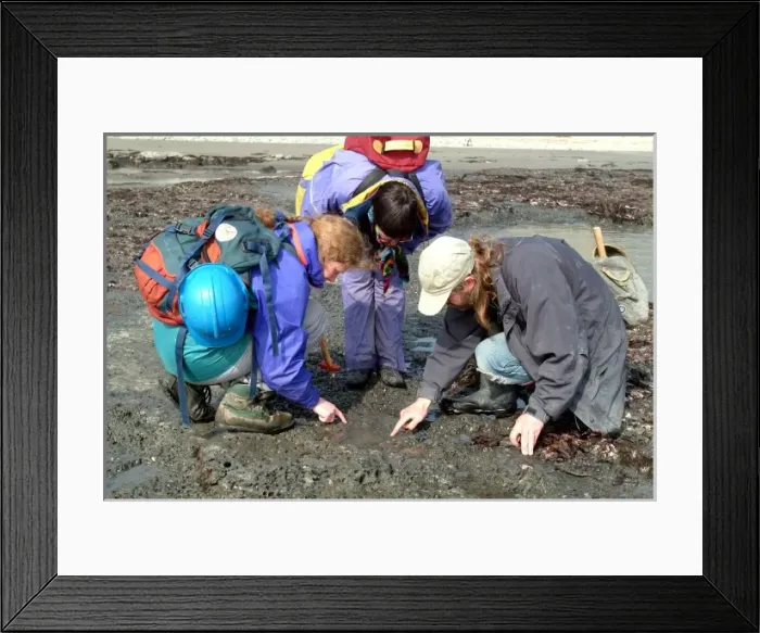 Framed Print : Lyme Regis Framed Print : Lyme Regis