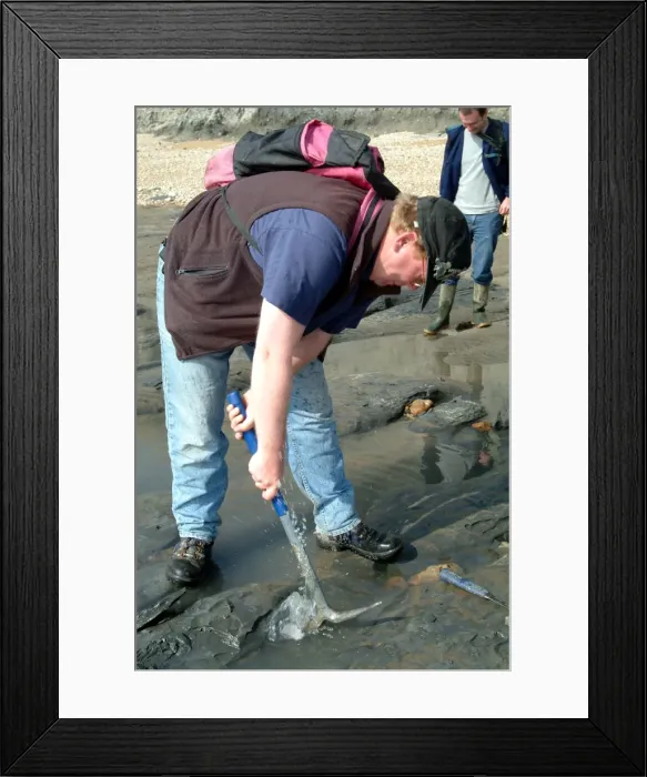 Framed Print : Lyme Regis Framed Print : Lyme Regis