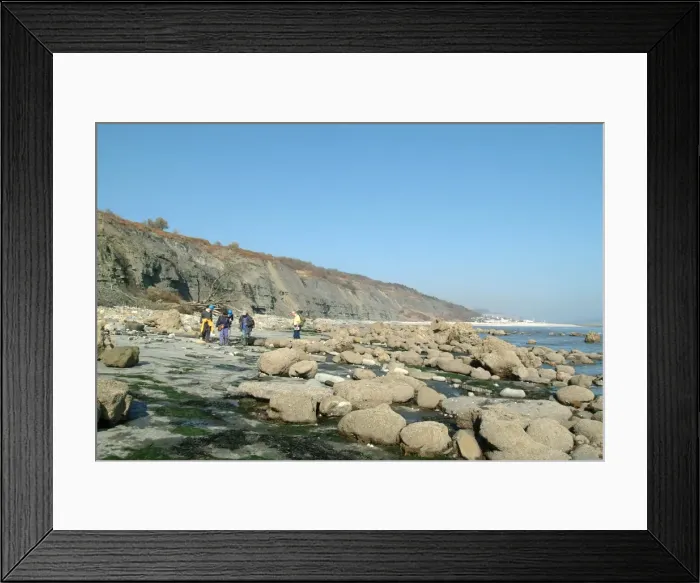 Framed Print : Lyme Regis Framed Print : Lyme Regis