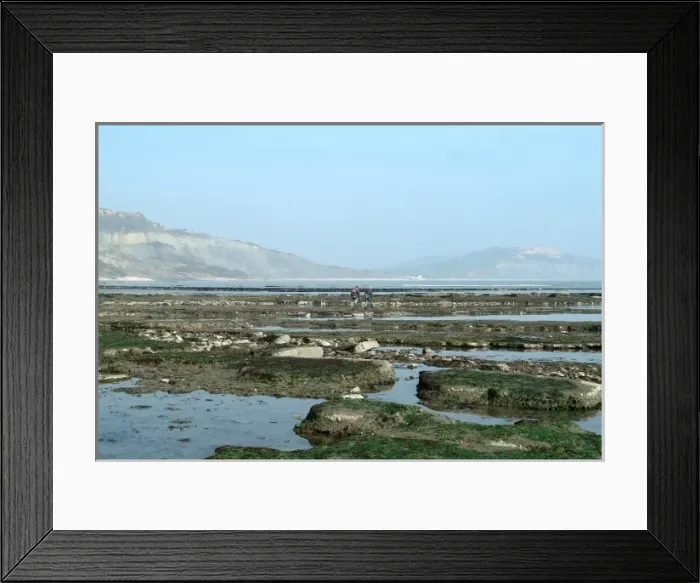 Framed Print : Lyme Regis Framed Print : Lyme Regis