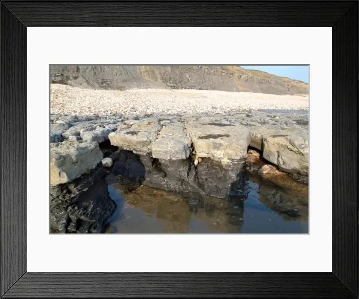 Framed Print : Lyme Regis Framed Print : Lyme Regis