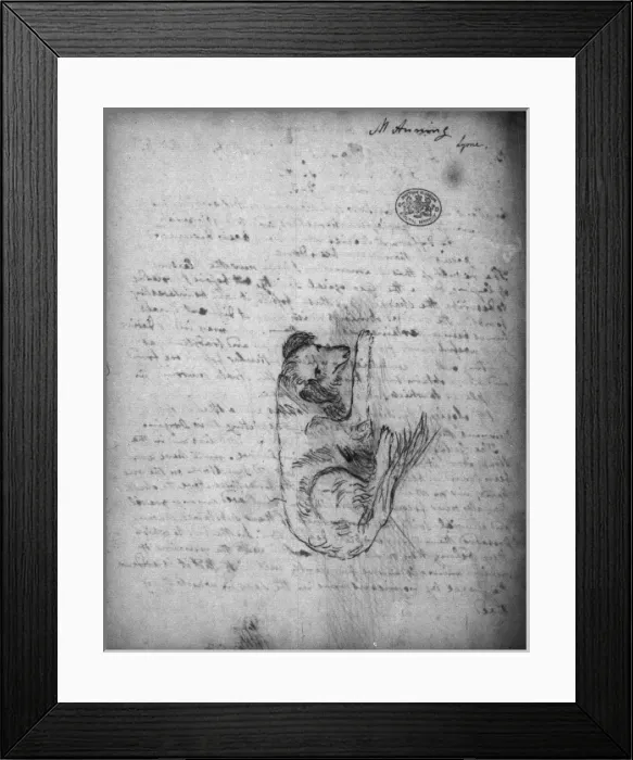 Framed Print : Canis lupus familiaris, dog Framed Print : Canis lupus familiaris, dog