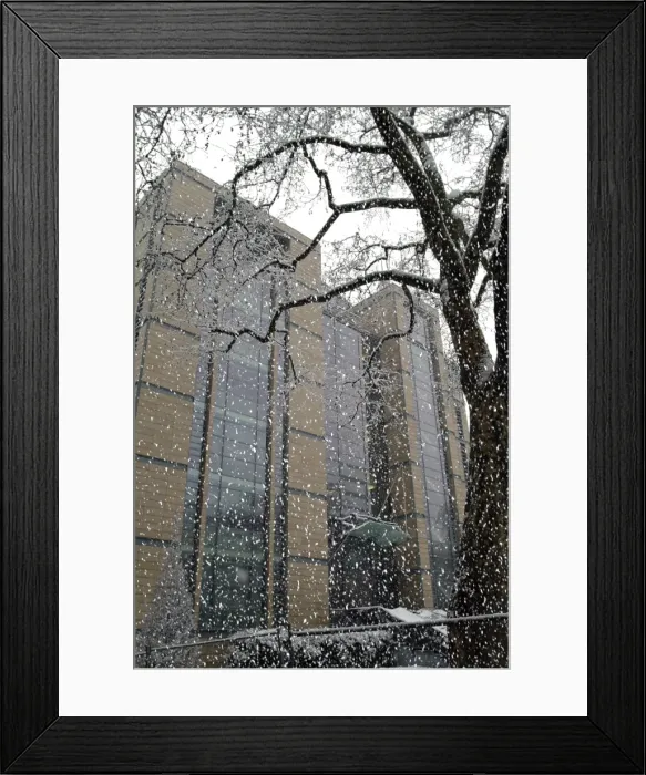 Framed Print : Exterior of the Darwin Centre Framed Print : Exterior of the Darwin Centre
