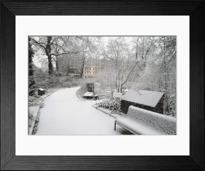 Framed Print : The Wildlife Garden Framed Print : The Wildlife Garden