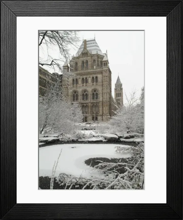 Framed Print : The Wildlife Garden in winter Framed Print : The Wildlife Garden in winter